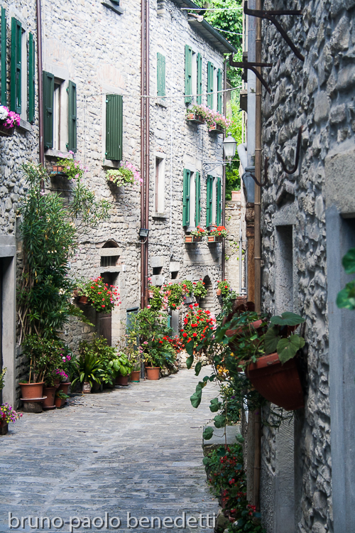view of alley with traditional houses made with stones and flowers in portico di romagna italy