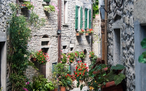 view of alley with traditional houses made with stones and flowers in portico di romagna italy